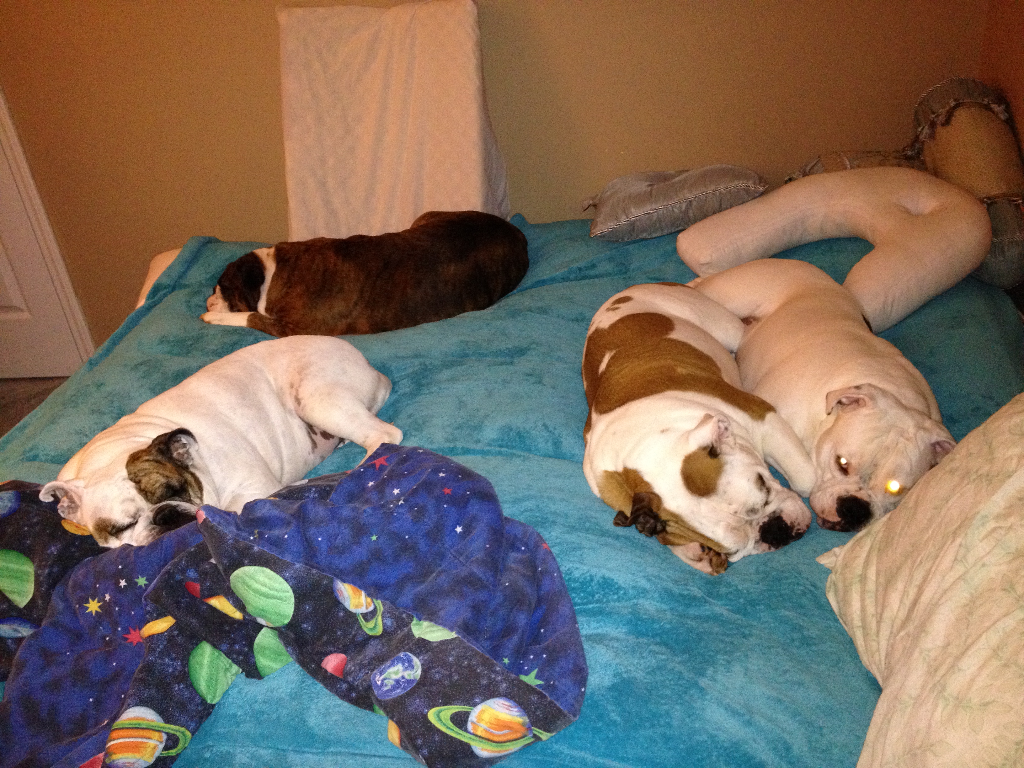 BedtimefortheBullies