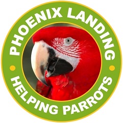 phoenixlandinglogo
